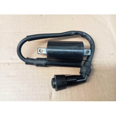 Arora Mt 125  Ateşleme Bobi̇ni̇