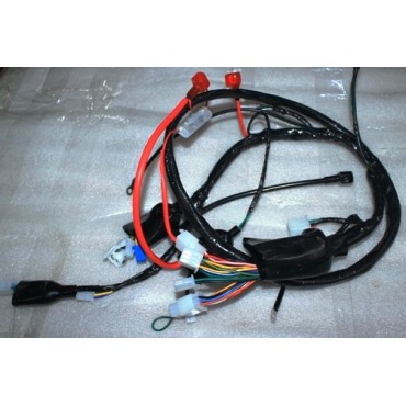Arora Freedom 125 Elektri̇k Tesi̇sati (Euro 3)