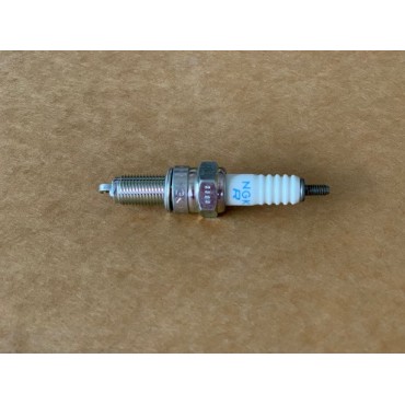 Arora Chinf 318  Buji̇